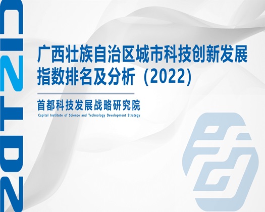 黑人操BBB爽BB【成果发布】广西壮族自治区城市科技创新发展指数排名及分析（2022）